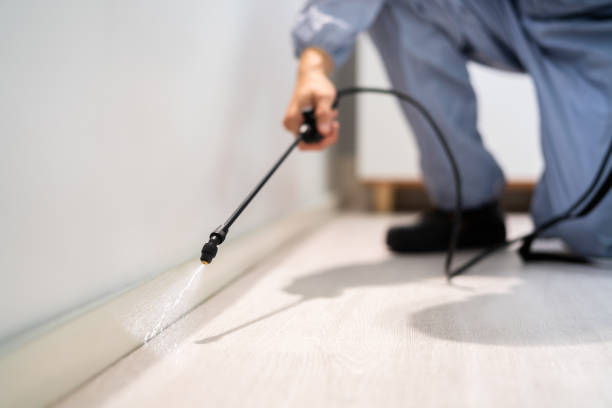 Professional exterminator conducting IPM assessment in North Star