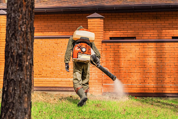 Bed Bug Clearance Verification and Documentation in North Star